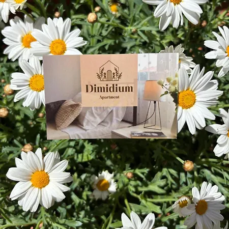 Apartment Dimidium