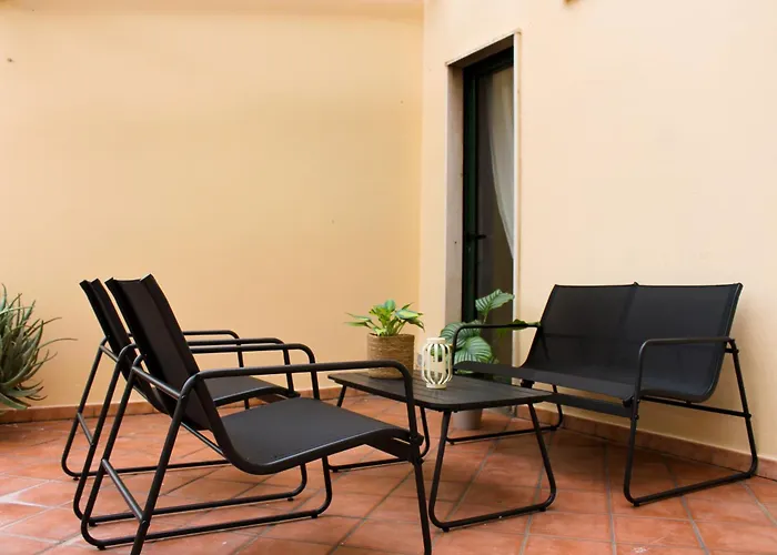 Dimidium * 古斯皮尼