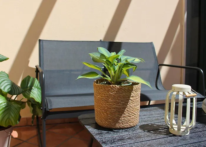 Dimidium * 古斯皮尼