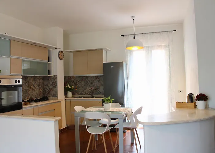 Dimidium 古斯皮尼