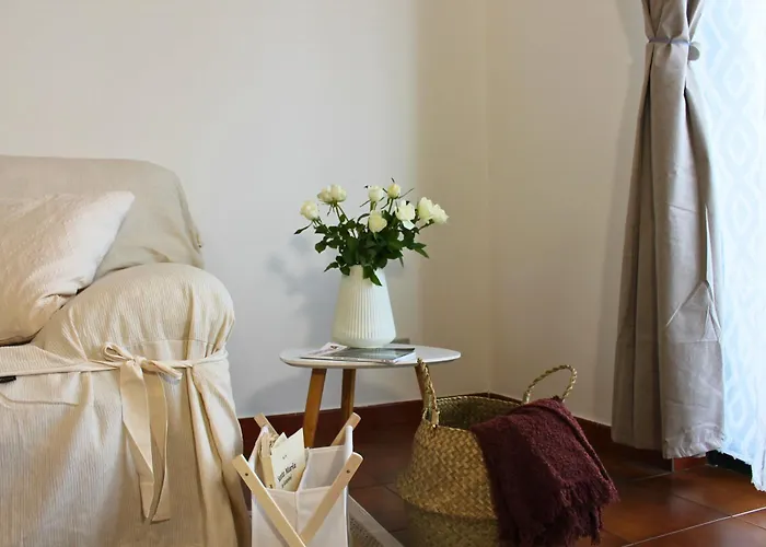 Dimidium * 古斯皮尼