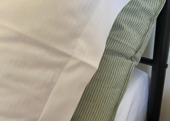 Dimidium 古斯皮尼