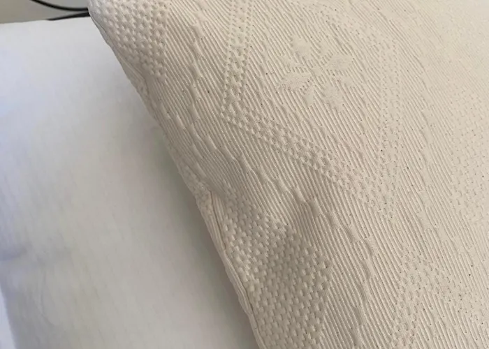 Dimidium 公寓 古斯皮尼